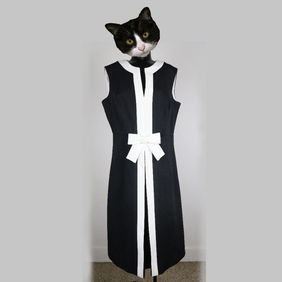 black and white 60s dress